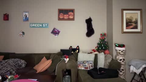 Snapshot of greenxxxqueen chatting on November 24, 5:51 am SexQueen Nikki online show from November 24, 5:51 am