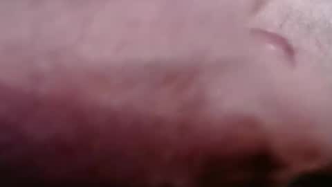 Greg online show from February 21, 8:43 pm