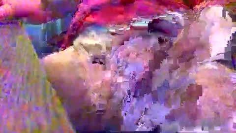 Gary online show from December 12, 2:37 am