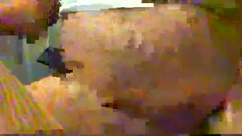 Gary online show from December 15, 4:29 am