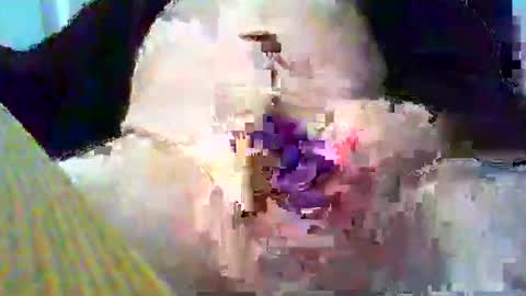 Gary online show from January 26, 3:58 pm