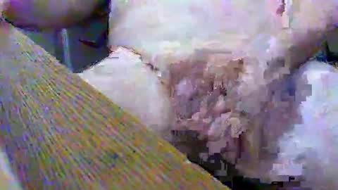 Gary online show from February 2, 3:39 pm