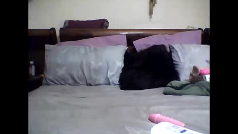 Snapshot of gucci_bx chatting on March 8, 2:23 am gucci-bx online show from March 8, 2:23 am