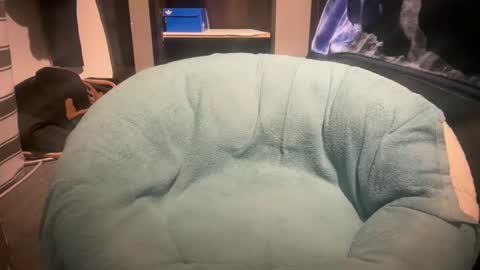 gumbywanna online show from January 6, 11:51 pm