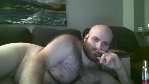 Hairiest Bear online show from January 21, 7:58 am