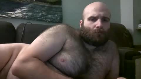 Hairiest Bear online show from February 9, 12:08 pm
