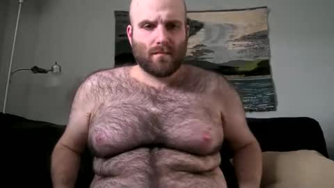 Hairiest Bear online show from February 17, 7:42 pm