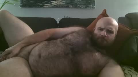 Hairiest Bear online show from October 7, 3:58 am
