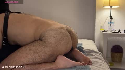 Snapshot of hairyarabbear chatting on September 13, 11:59 pm hairyarabbear online show from September 13, 11:59 pm