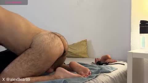 Snapshot of hairyarabbear chatting on December 2, 11:34 pm hairyarabbear online show from December 2, 11:34 pm