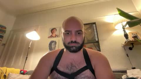 Hairy Guy online show from February 16, 9:44 pm
