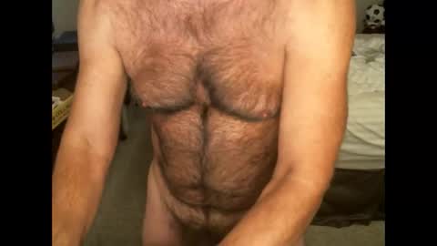 Hairy pecs online show from November 2, 6:49 am