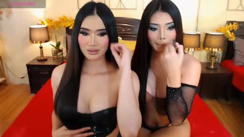Snapshot of haisleypalmer chatting on October 10, 8:13 am YOUR SIDECHIC HAILEY online show from October 10, 8:13 am