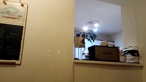 Snapshot of hakfin666 chatting on January 31, 7:07 am hakfin666 online show from January 31, 7:07 am