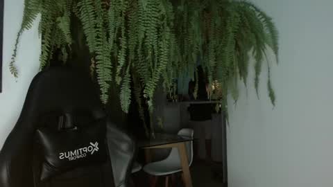 Snapshot of halan_jr chatting on February 26, 6:47 am halan online show from February 26, 6:47 am