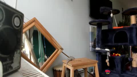 Snapshot of handncocknocum chatting on February 25, 10:47 am handncocknocum online show from February 25, 10:47 am