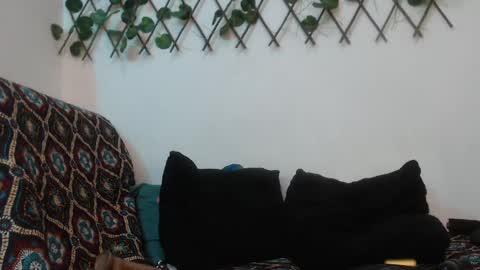 Snapshot of hannafalls chatting on January 12, 4:00 am SARA online show from January 12, 4:00 am