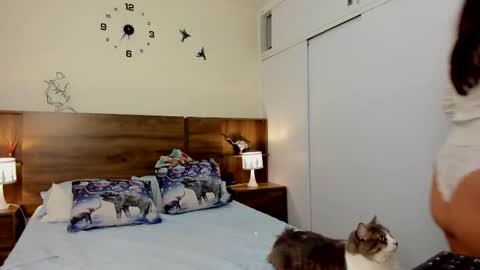 taylor live   online show from March 3, 11:32 pm