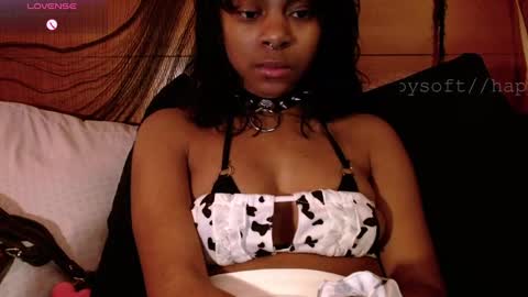 meatwad online show from March 3, 2:15 pm