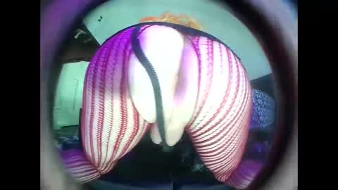 hardkoregigi online show from September 19, 8:31 pm