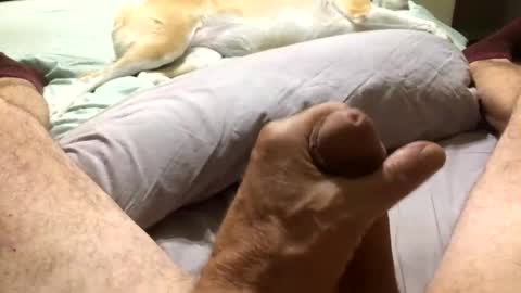 Snapshot of harleycpl chatting on November 11, 1:16 am Harley99 online show from November 11, 1:16 am