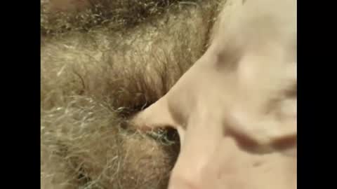 harry_banana online show from November 30, 3:27 pm