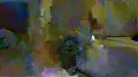 Snapshot of harryhavana chatting on February 11, 7:44 am harryhavana online show from February 11, 7:44 am