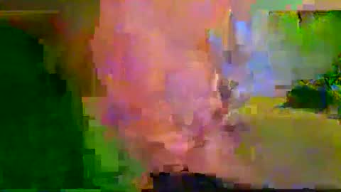 Snapshot of harryhavana chatting on February 12, 7:34 am harryhavana online show from February 12, 7:34 am