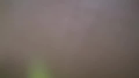 Snapshot of haydarcum chatting on February 14, 2:54 pm ZhongLi online show from February 14, 2:54 pm