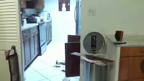 HE Black online show from April 25, 6:16 pm