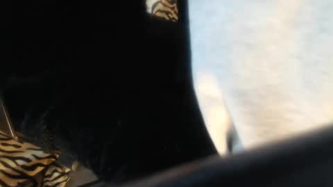 Helvell online show from April 13, 11:05 am