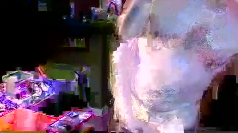 Snapshot of herb60657 chatting on November 4, 1:54 pm herb60657 online show from November 4, 1:54 pm