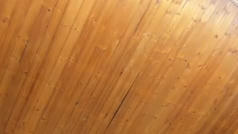 Noraly  online show from February 4, 11:05 am