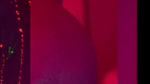 Alina online show from December 8, 7:00 pm