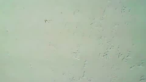 Snapshot of hhhjnf1 chatting on September 20, 3:07 am hhhjnf1 online show from September 20, 3:07 am