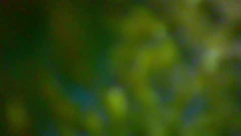 Snapshot of hhhjnf1 chatting on October 6, 6:16 pm hhhjnf1 online show from October 6, 6:16 pm