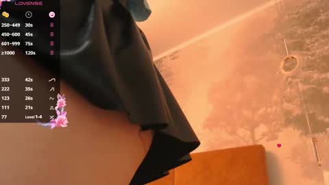 Snapshot of hiaru_cutie chatting on December 11, 8:47 am Hiaru online show from December 11, 8:47 am