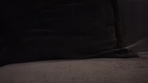 Snapshot of hikinks chatting on November 12, 3:18 am hikinxxx online show from November 12, 3:18 am