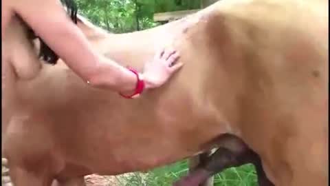 hikitty_39lala online show from November 9, 12:14 pm