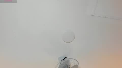 hilary_tailor online show from January 12, 11:04 am