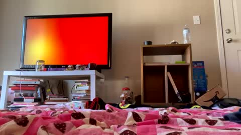 angelbabi online show from December 11, 8:07 pm