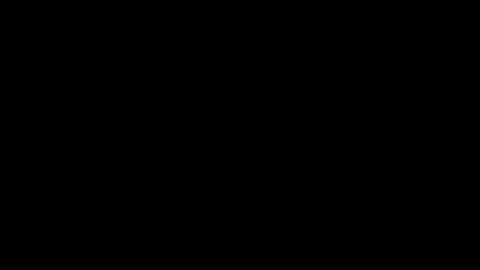 hoiiand48482 online show from December 5, 11:38 am