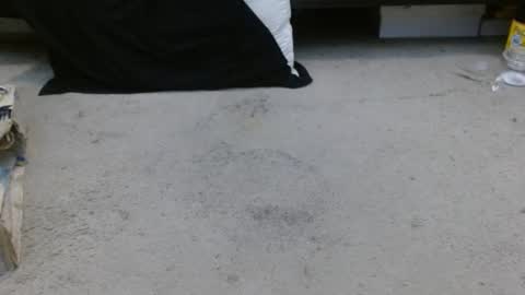 Holly Hawkes online show from January 30, 4:27 am