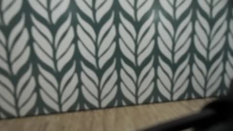 Jan online show from January 4, 8:49 am