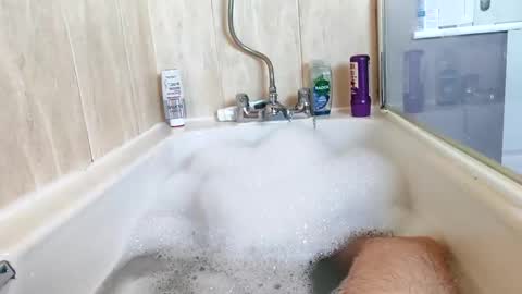 Snapshot of hornybiker1987 chatting on November 25, 12:05 pm hornybiker1987 online show from November 25, 12:05 pm