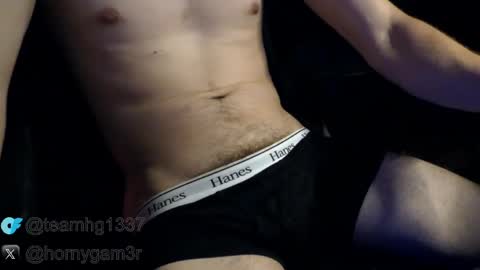 Hornygam3r online show from April 10, 8:35 pm