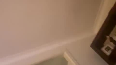 Snapshot of hornyonelooking1 chatting on December 1, 12:32 pm hornyonelooking1 online show from December 1, 12:32 pm