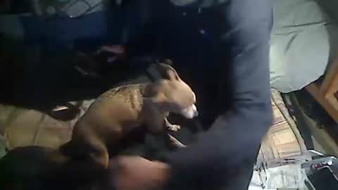 Snapshot of hornyscott666 chatting on March 4, 9:04 am hornyscott666 online show from March 4, 9:04 am