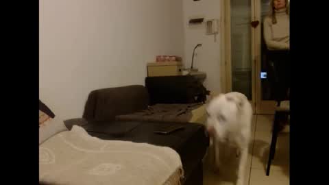 Snapshot of hornyssima chatting on January 12, 5:01 pm Hornyssima online show from January 12, 5:01 pm