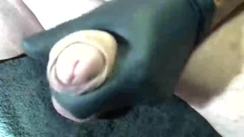 Snapshot of horse_dick9 chatting on September 11, 11:43 am horse_dick9 online show from September 11, 11:43 am